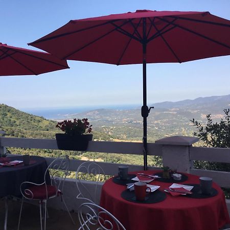 U Riposu Di A Cupulatta Bed & Breakfast Sollacaro Dış mekan fotoğraf