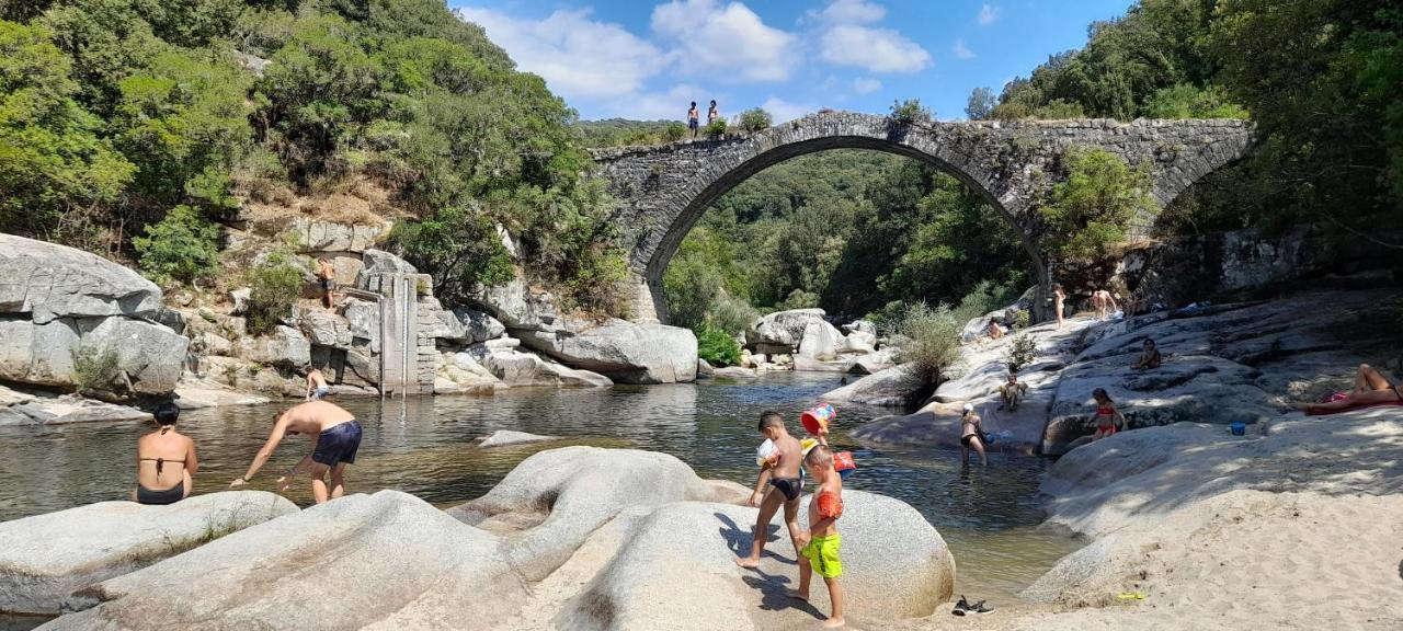 U Riposu Di A Cupulatta Bed & Breakfast Sollacaro Dış mekan fotoğraf