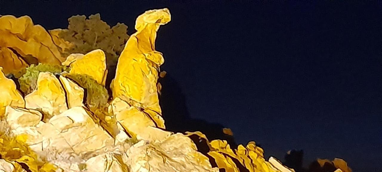 U Riposu Di A Cupulatta Bed & Breakfast Sollacaro Dış mekan fotoğraf